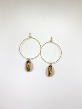 Load image into Gallery viewer, cowrie shell hoops
