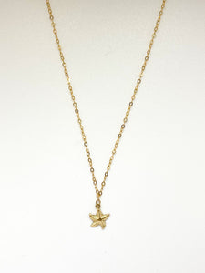 the dainty starfish necklace