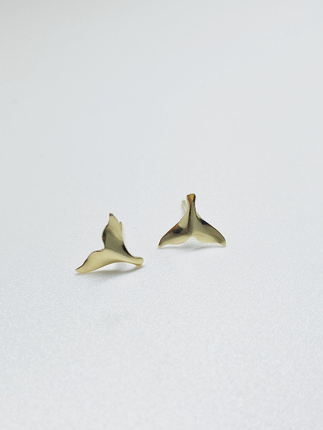 the whale tale studs